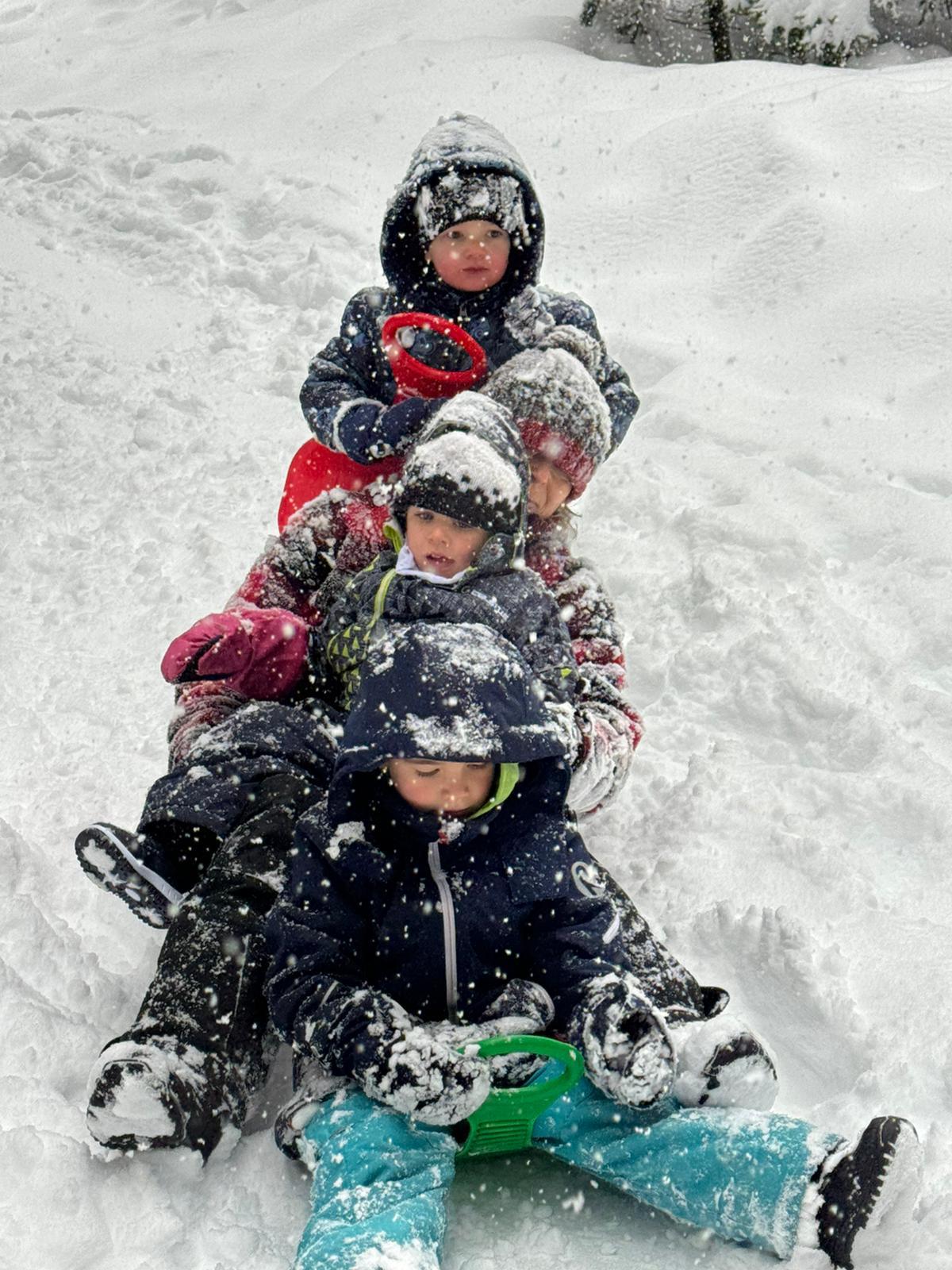 Enfants en forêt