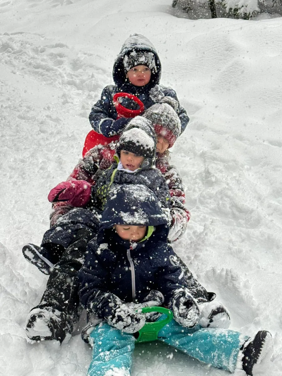 Enfants en forêt