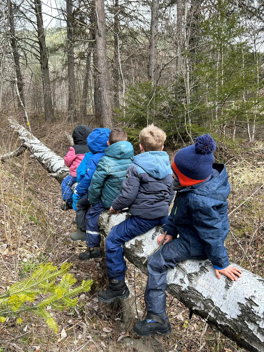 Enfants en forêt