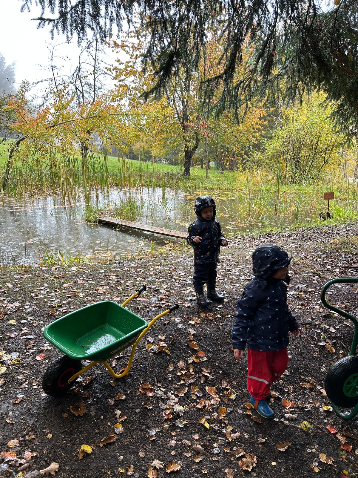 Enfants en forêt