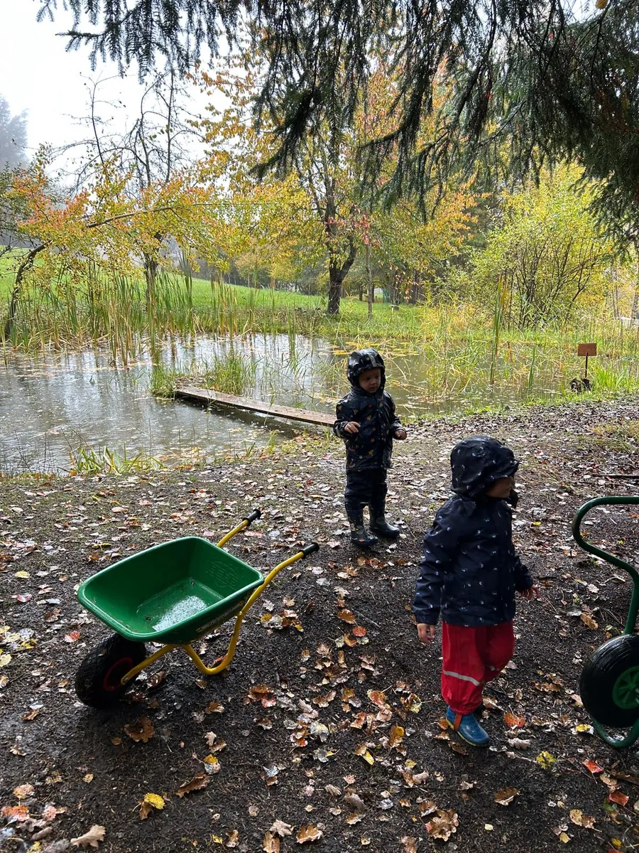 Enfants en forêt