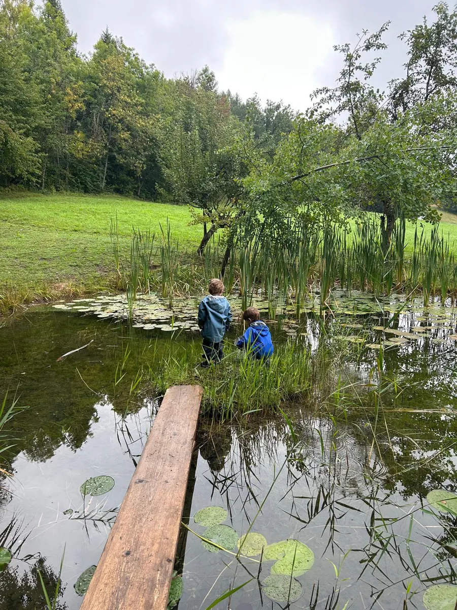 Enfants en forêt